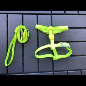 Zeedog Neopro leash and harness set